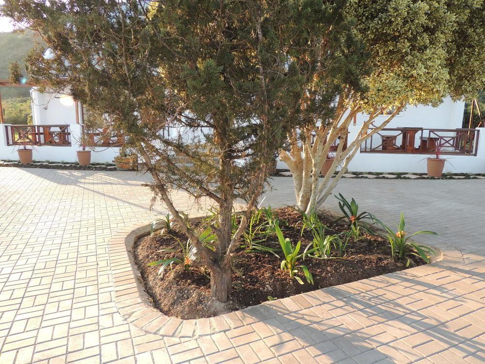 Nukakamma Guest House Колчестер Экстерьер фото